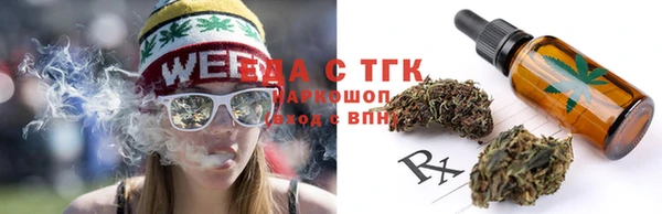 мдпв Пестово