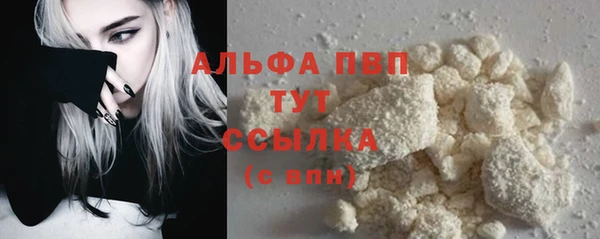 мдпв Пестово