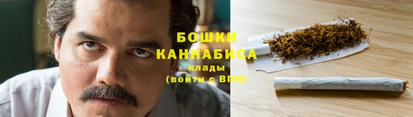 дмт Переславль-Залесский