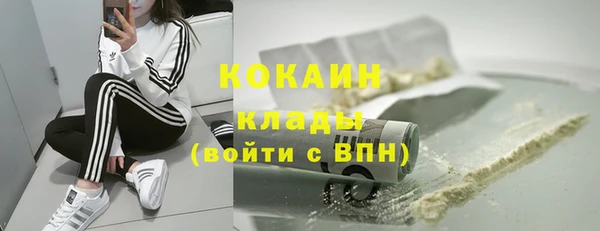 дмт Переславль-Залесский