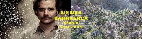 мдпв Пестово